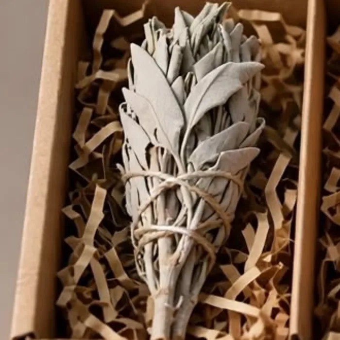 Salvia blanca
